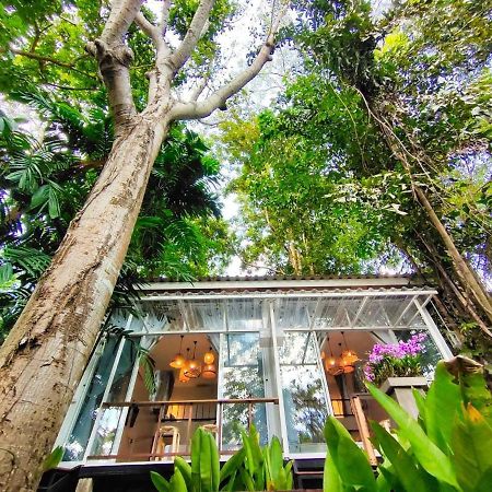 Rain Forest Resort Ban Pak Yang Εξωτερικό φωτογραφία