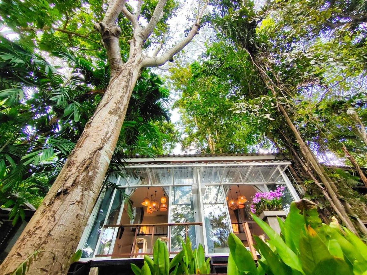 Rain Forest Resort Ban Pak Yang Εξωτερικό φωτογραφία