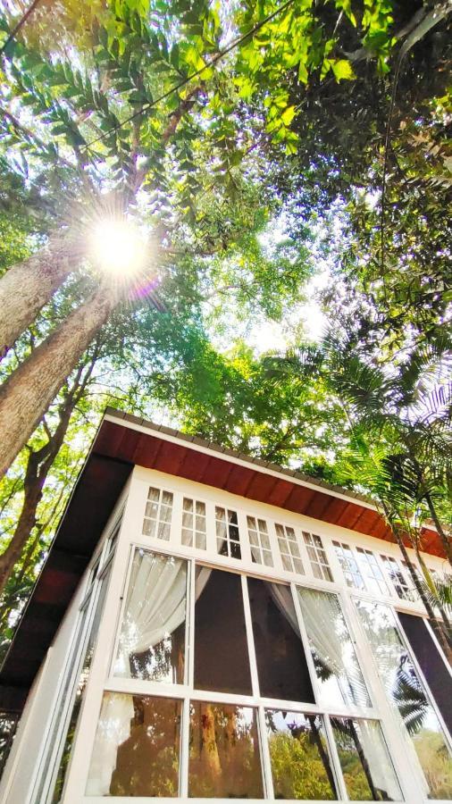 Rain Forest Resort Ban Pak Yang Εξωτερικό φωτογραφία